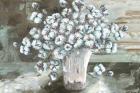 Farmhouse Cotton Bolls Still life