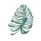 Island Leaf I