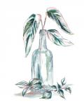 Island Tropics Frond in Bottle III