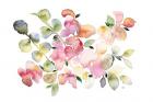 Shades of Pink Watercolor Floral