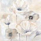 Gray Poppy Garden I