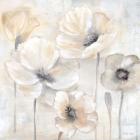 Gray Poppy Garden II