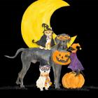 Fright Night Friends II Dog with Pumpkin