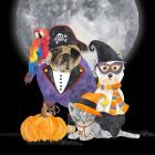 Fright Night Friends III Pirate Pug