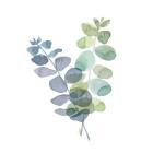 Natural Inspiration Blue Eucalyptus on White I