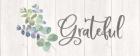 Natural Inspiration Blue Grateful sign