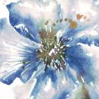 Blue Watercolor Poppy Close Up II