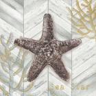 Gray Gold Chevron Star Fish