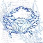 Coastal Sketchbook Crab