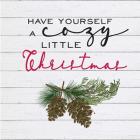 Cozy Christmas I Pine cones