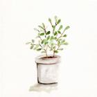 Potted Botanicals I