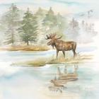 Woodland Reflections II-Moose