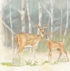 Woodland Reflections IV-Doe