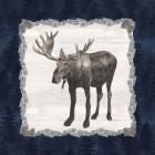 Blue Cliff Mountains IV-Moose