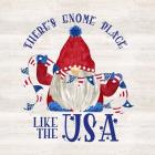 Patriotic Gnomes III-USA