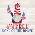 Patriotic Gnomes IV-Land of the Free