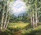 Colorado Meadow landscape