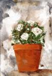 White Flower Clay Pot I