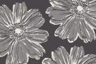 Flower Pop Sketch V-Shades of Grey