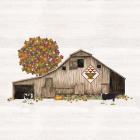 Fall Barn Quilt I