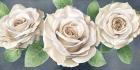 Ivory Roses on Gray Landscape II