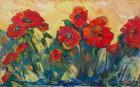 Flamboyant Poppies