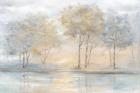 Serene Scene Trees Landscape