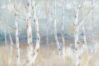 Birch Field Landscape