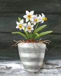 Farmhouse Garden II-White Daffodils