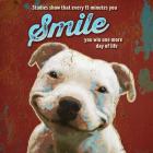 Pet Sentiment I-Smile