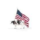 All American Farmhouse on White I