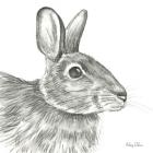 Watercolor Pencil Forest II-Rabbit