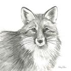 Watercolor Pencil Forest III-Fox