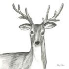 Watercolor Pencil Forest VIII-Deer