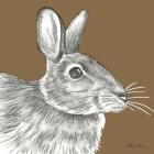 Watercolor Pencil Forest color II-Rabbit