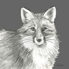 Watercolor Pencil Forest color III-Fox