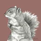 Watercolor Pencil Forest color IV-Squirrel