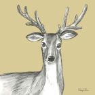 Watercolor Pencil Forest color VIII-Deer