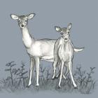 Watercolor Pencil Forest color X-Deer Family