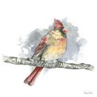 Birds & Branches II-Female Cardinal