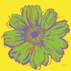 Flower Pop Art V