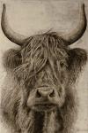 Highland rustic portrait