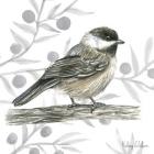 Backyard Birds II-Chickadee