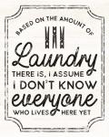 Laundry Art portrait I-Based on Amount