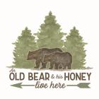 Lost in Woods V-Old Bear