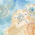 Watercolor Shells III