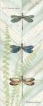 Dragonfly Botanical Panels I