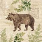 Woodland Trail II (Bear)