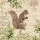 Woodland Trail III (Squirrel)