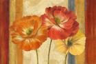 Poppy Tapestry Stripes Landscape